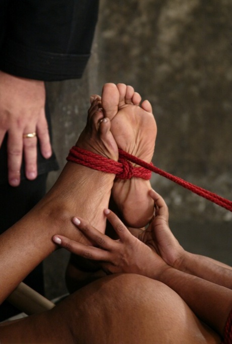 Brasilianische Polygamie erwachsene freie galerie