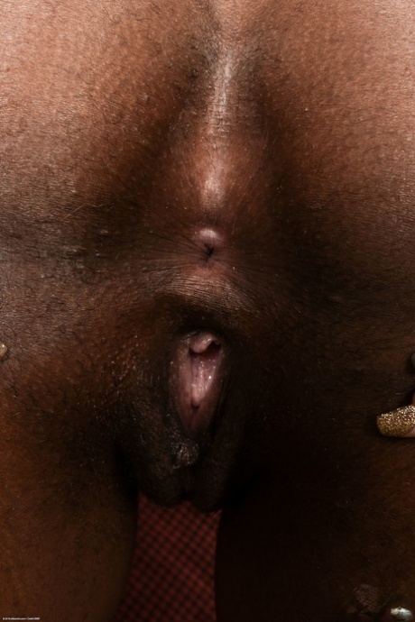 Afrikanischer dicker Creampie heiße nackte foto